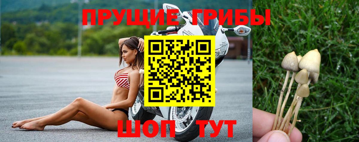 Галлюциногенные грибы мухоморы  Вход с VPN  Галлюциногенные грибы Cubensis  Кулебаки 