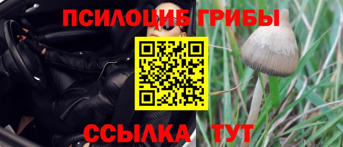 Псилоцибиновые грибы MAGIC MUSHROOMS Кулебаки